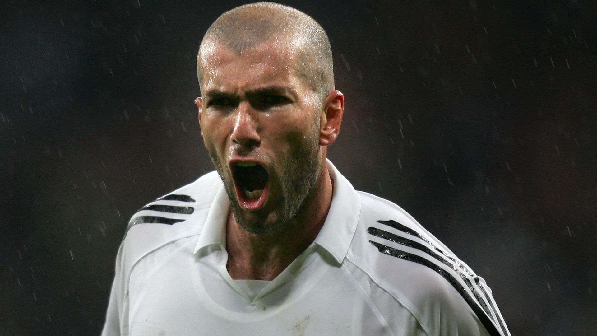 地亚等队纷 地亚等队纷