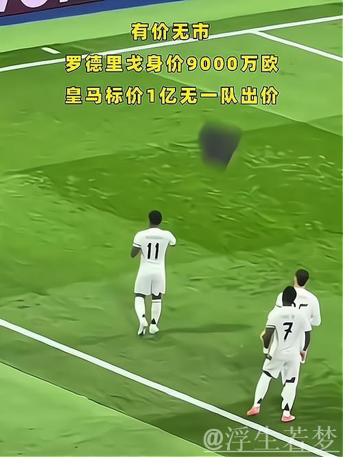 英超五豪门盯上罗德里戈，皇马标价1亿欧起